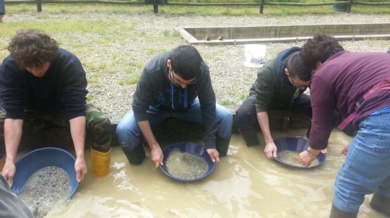 Caccia all’oro nei torrenti del nord Italia (B2-C1)